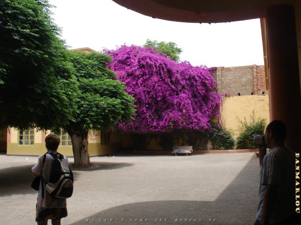 oran 081.jpg